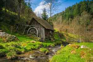schwarzwald_12 - schwarzwald-scout lauf - Die Kanderner Gemarkung wuchs im Laufe ihrer Geschichte aus drei...