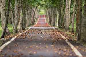 bodensee - Auch Editionen zum Schwarzwald und zum Bodensee sind...